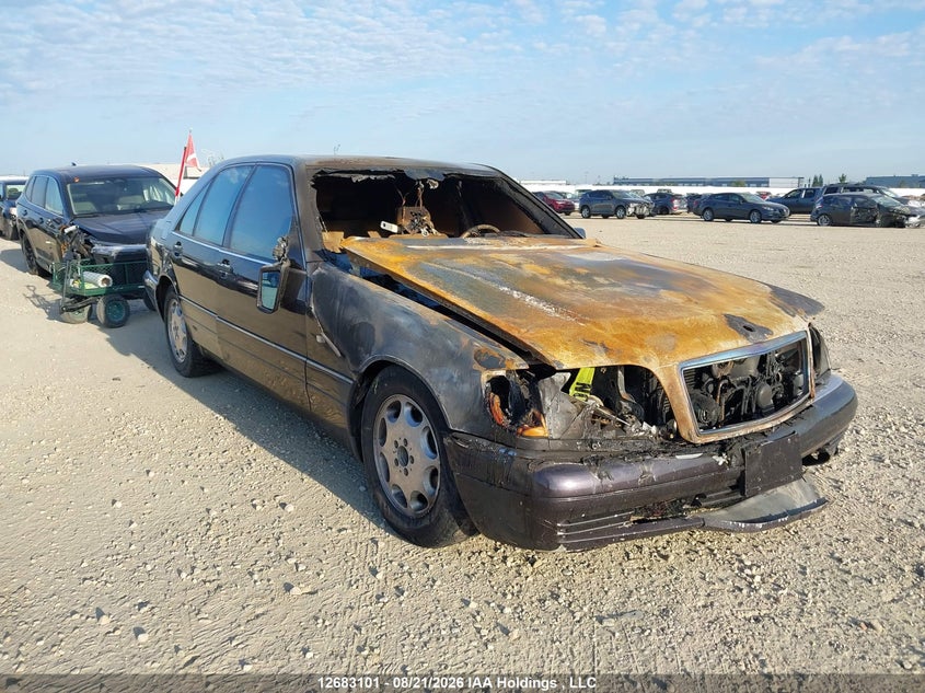 1998 Mercedes-Benz S Class, Пожар (мотор), IAAI, VIN WDBGA32G8WA401126