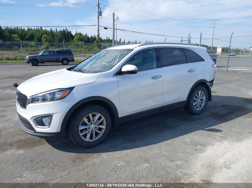 2018 Kia Sorento, Удар сзади, IAAI, VIN 5XYPG4A3XJG354517 — фото 2