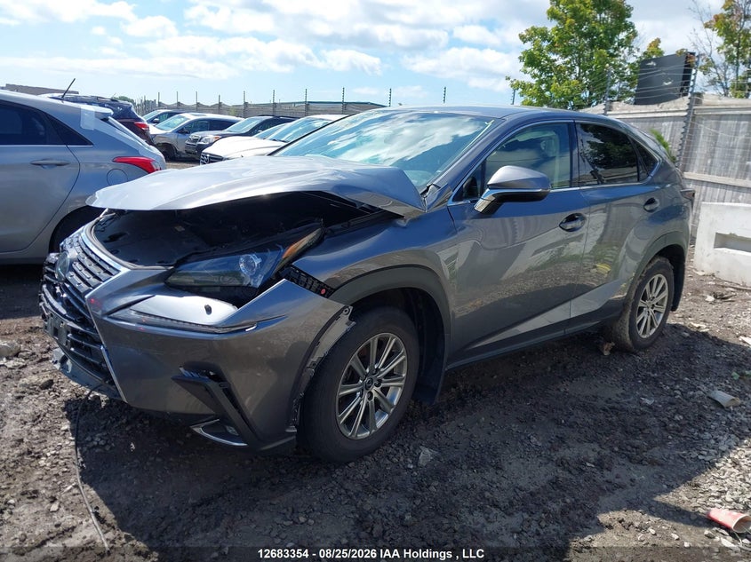 2021 Lexus NX, Front, IAAI, VIN JTJAARDZ5M2237833 — photo 2