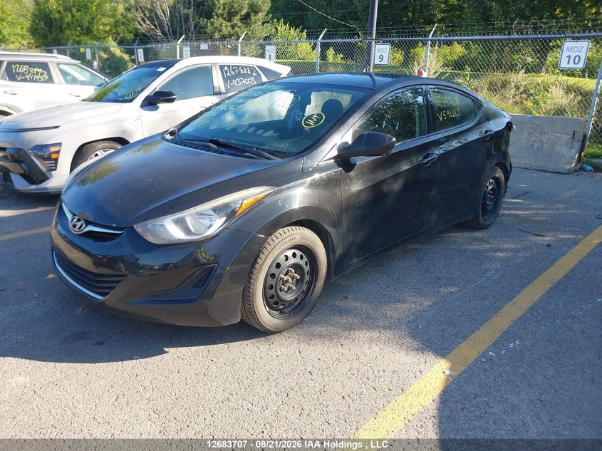 2015 Hyundai Elantra, Удар ззаду, IAAI, VIN 5NPDH4AEXFH596242 — фото 2