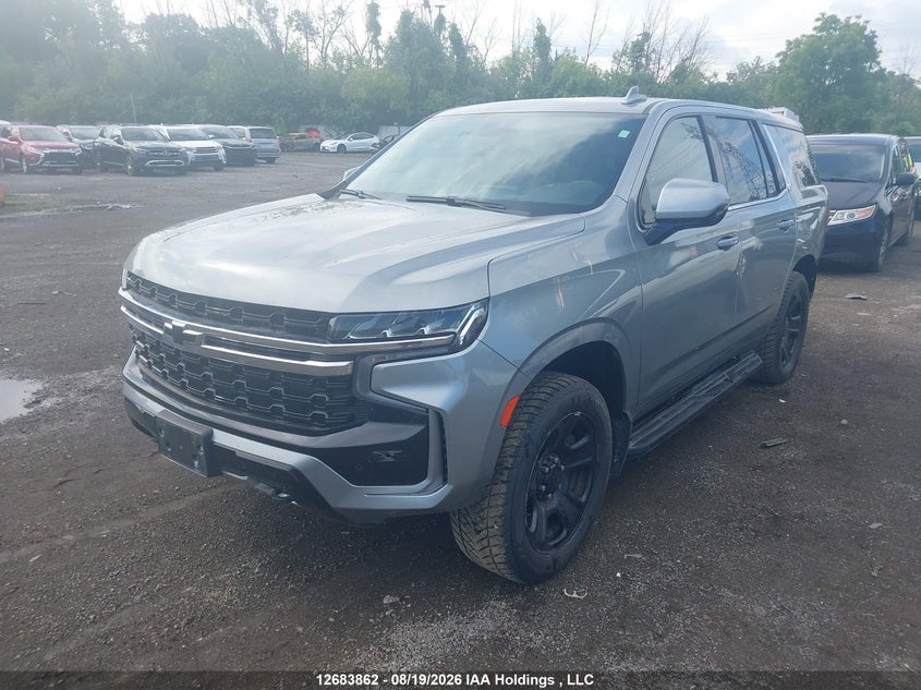 2023 Chevrolet Tahoe Commercial, Rear, IAAI, VIN 1GNSKLED9PR243903 — photo 2