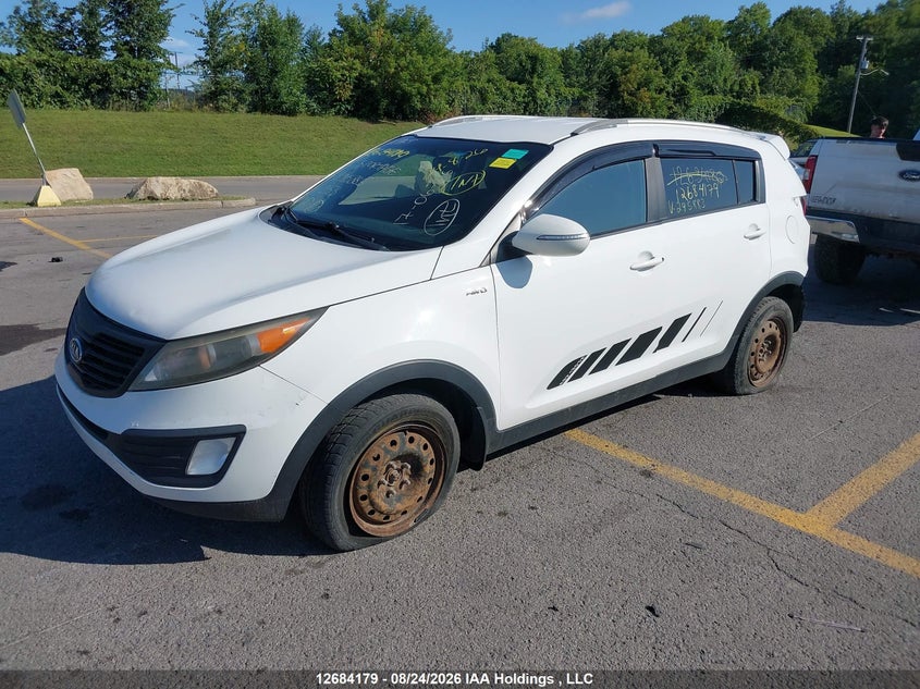 2012 Kia Sportage, Удар ззаду, IAAI, VIN KNDPBCA22C7295883 — фото 2