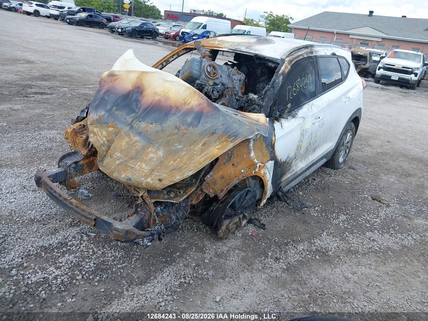 2017 Hyundai Tucson, Лівий бік, IAAI, VIN KM8J33A45HU418469 — фото 2