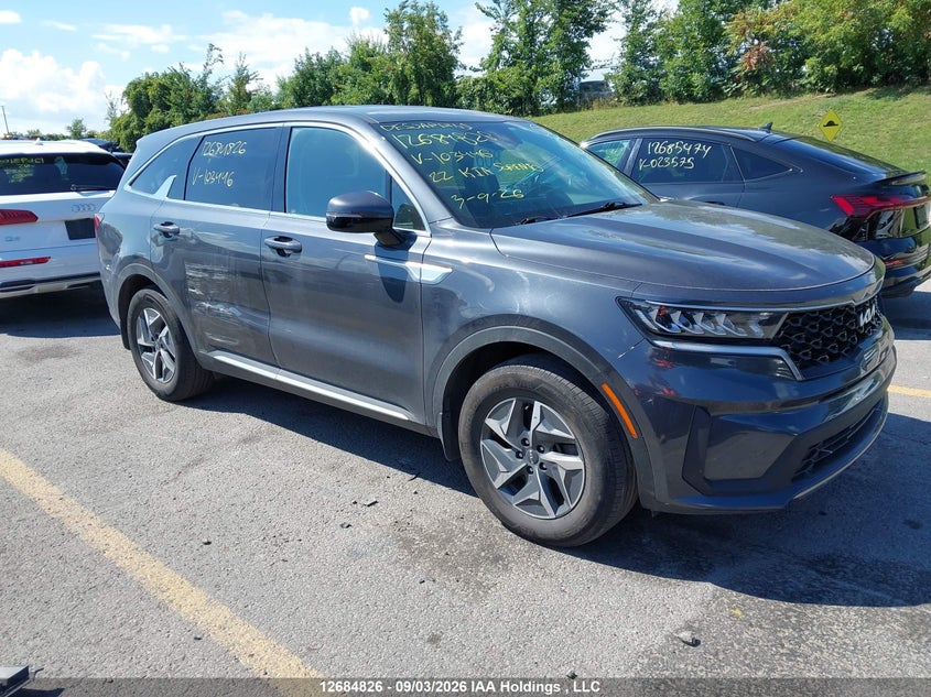2022 Kia Sorento S, Правый бок, IAAI, VIN KNDRGDLG9N5103446