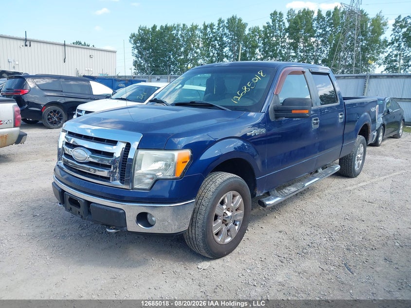 2009 Ford F-150, Благотворительность, IAAI, VIN 1FTRW14809KC87143 — фото 2