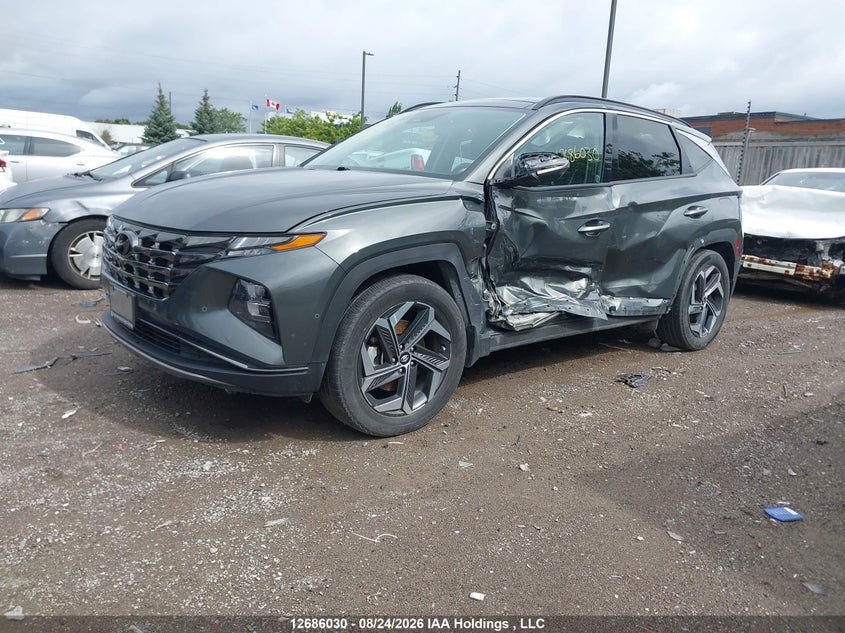 2023 Hyundai Tucson Ultimate Hybrid Awd, Левый бок, IAAI, VIN KM8JCCA1XPU105535 — фото 2