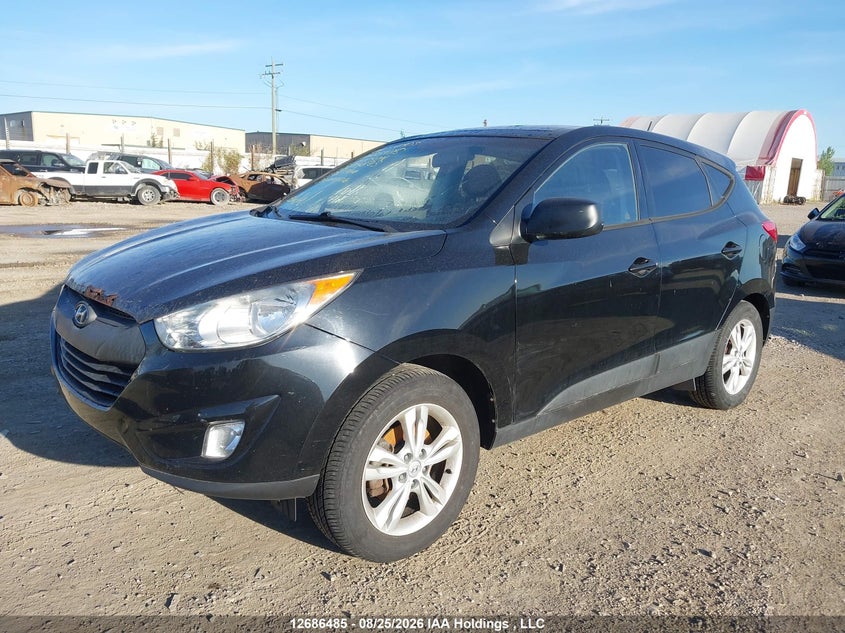 2013 Hyundai Tucson, Благодійність, IAAI, VIN KM8JTCAC7DU594893 — фото 2