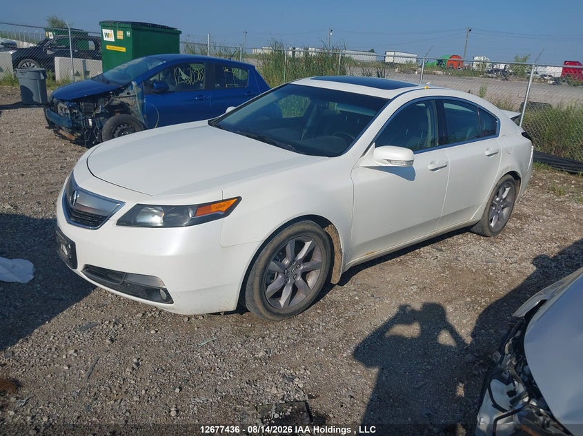 2013 Acura TL, Rear, IAAI, VIN 19UUA8F23DA800685 — photo 2