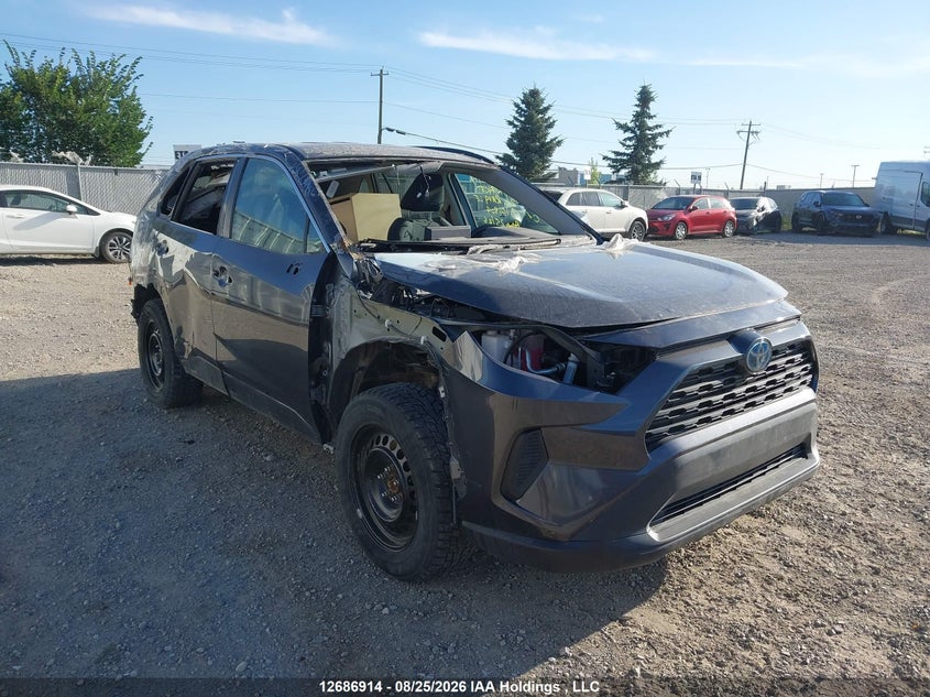 Vin: 2t3bwrfv8lw101804, lot: 3091399, toyota rav4 le 2020 img_1