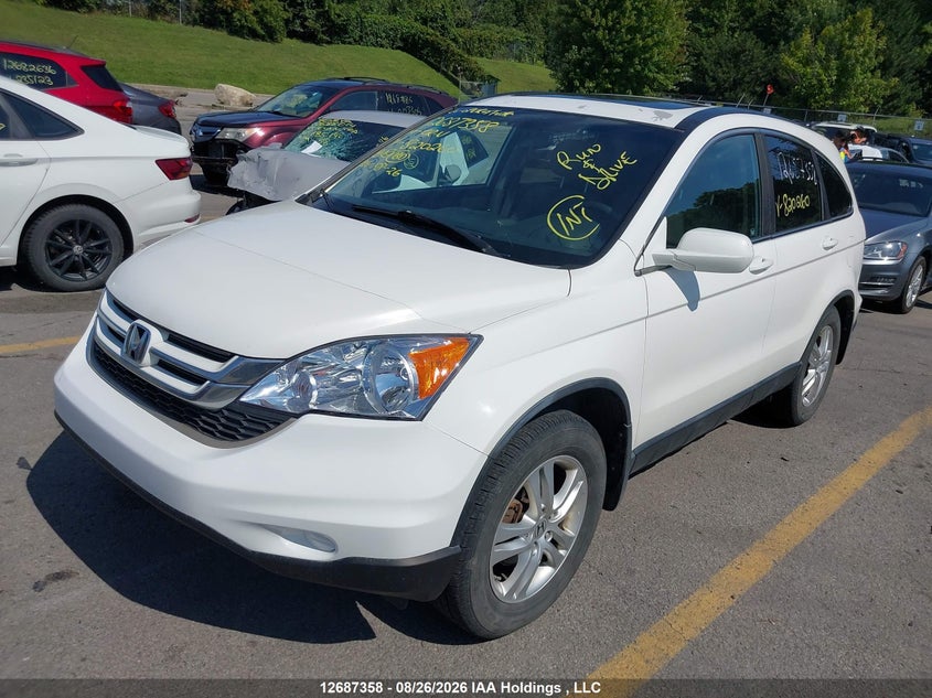 2010 Honda Cr-V Ex, Правый бок, IAAI, VIN 5J6RE4H51AL820260 — фото 2
