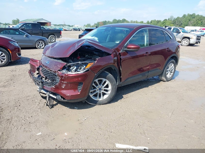 Vin: 1fmcu9g6xmua75587, lot: 3091927, ford escape se 20212