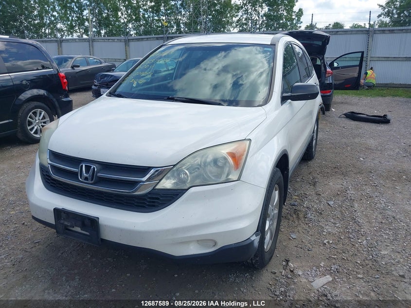 2010 Honda Cr-V Lx, Удар сзади, IAAI, VIN 5J6RE3H38AL800063 — фото 2