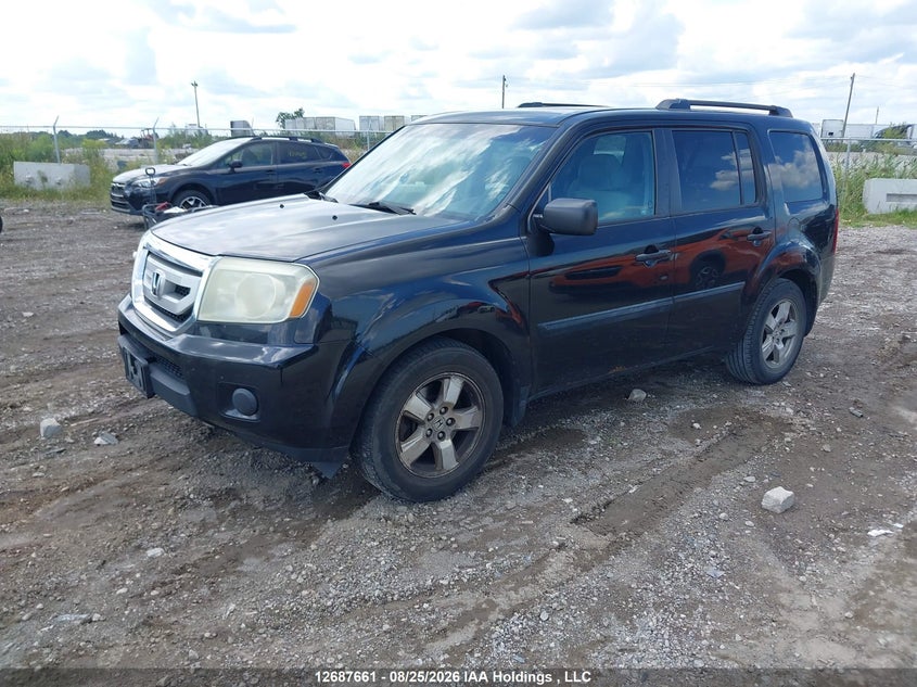 2011 Honda Pilot, Удар ззаду, IAAI, VIN 5FNYF4H22BB502012 — фото 2