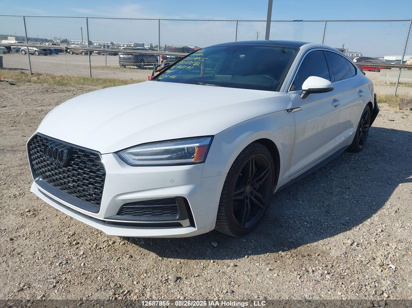 2018 Audi A5, Rear, IAAI, VIN WAUENCF50JA072692 — photo 2