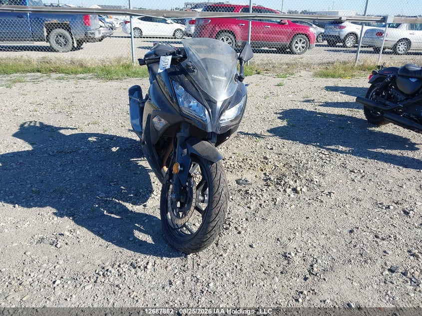 2014 KAWASAKI NINJA SPORT_BIKE 2