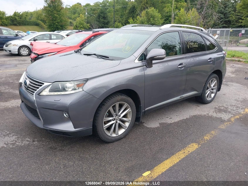 2015 Lexus RX, Water, IAAI, VIN 2T2BK1BA9FC337288 — photo 2