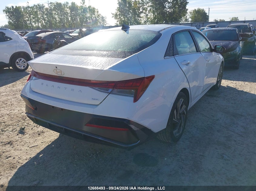 Vin: kmhln4dj1ru101977, lot: 3093140, hyundai elantra hybrid luxury 20244