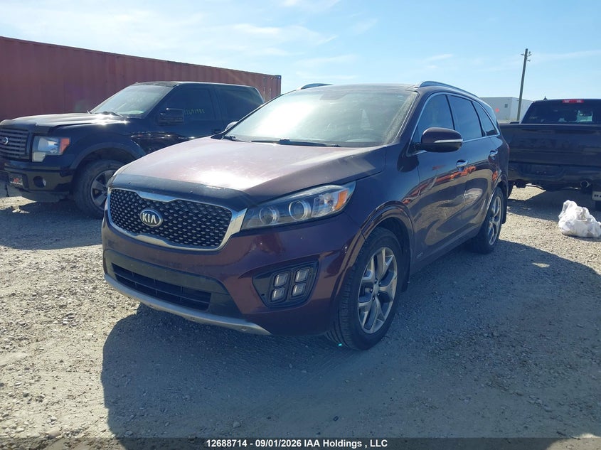 2016 Kia Sorento, Удар сзади, IAAI, VIN 5XYPKDA11GG186045 — фото 2