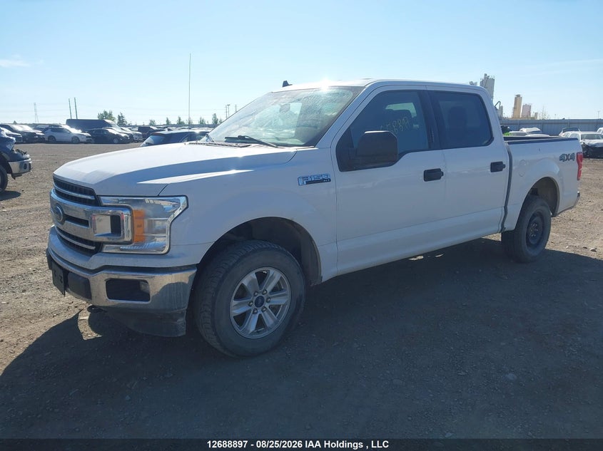2020 Ford F-150, Вилучене, IAAI, VIN 1FTEW1EP5LKD99142 — фото 2
