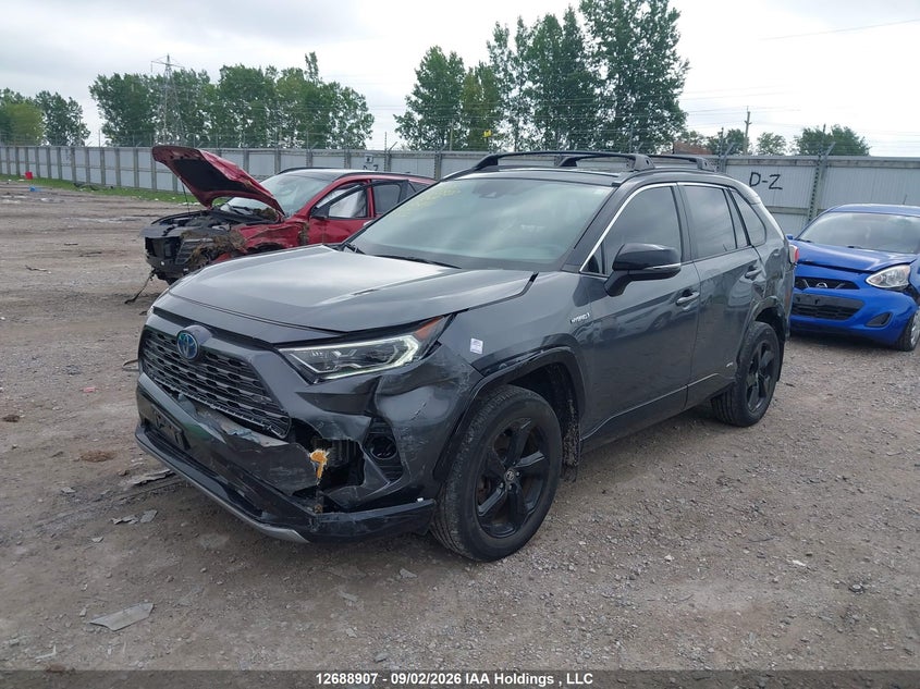 2021 Toyota RAV 4, Front, IAAI, VIN 2T3RWRFV0MW105877 — photo 2
