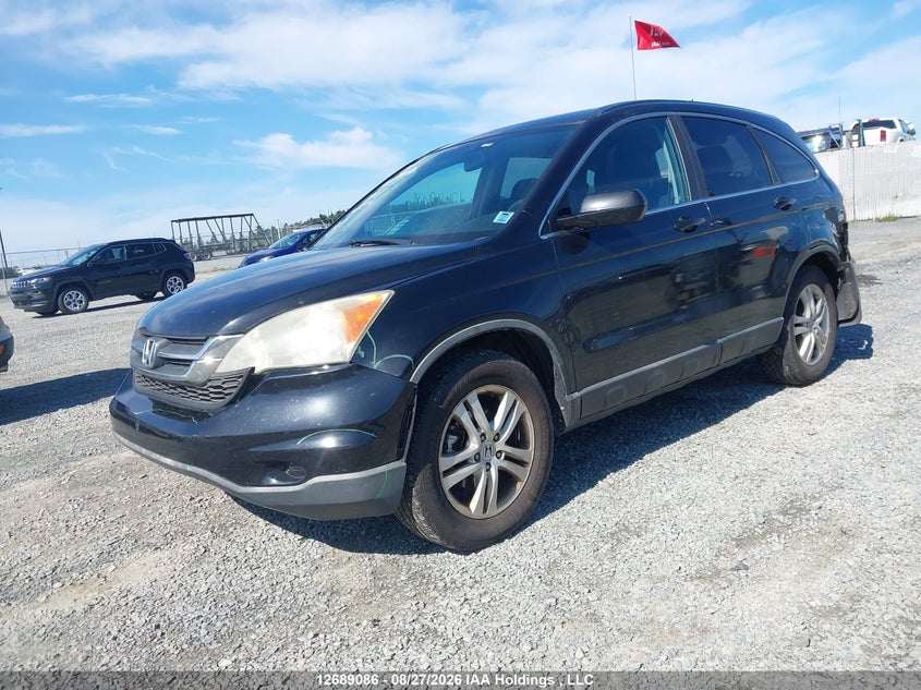 2011 Honda CR-V, Rear, IAAI, VIN 5J6RE4H58BL812934 — photo 2
