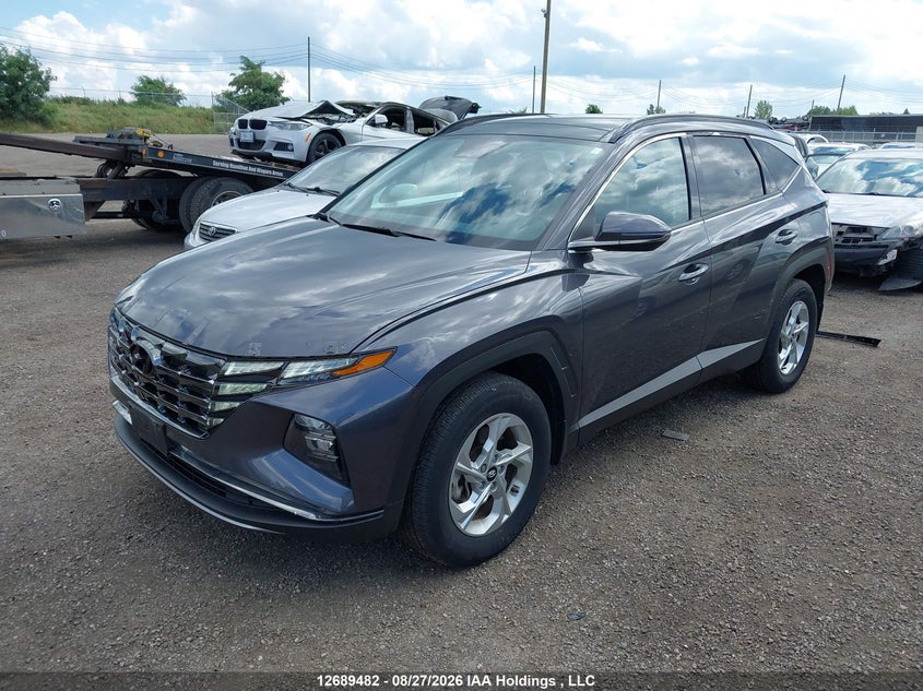 2022 Hyundai Tucson, Rear, IAAI, VIN KM8JCCAE0NU115930 — photo 2