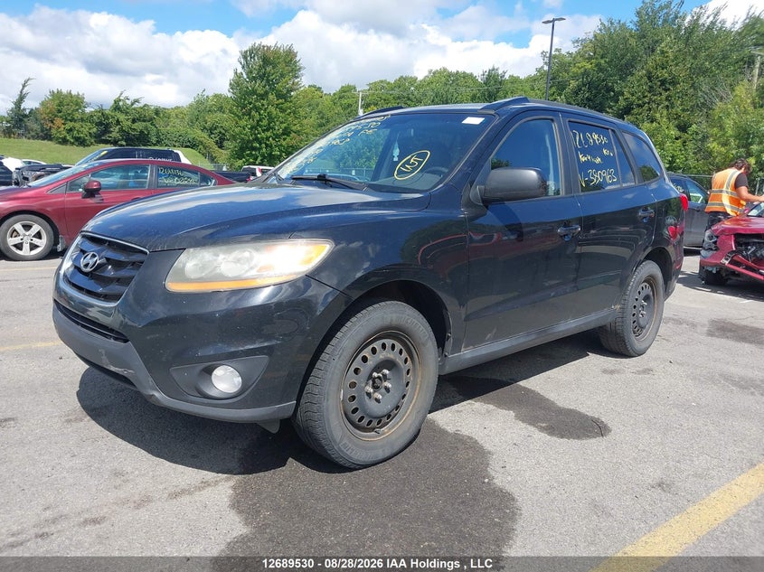 2010 Hyundai Santa Fe, Благодійність, IAAI, VIN 5NMSGDAG5AH380963 — фото 2