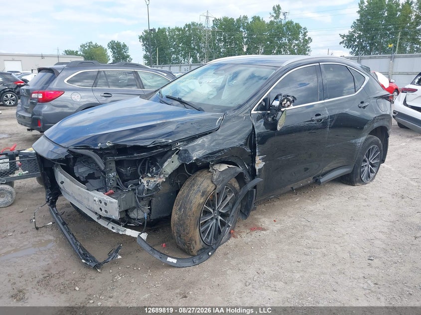 2023 Lexus NX, Front, IAAI, VIN 2T2ADCEZ3PC003875 — photo 2