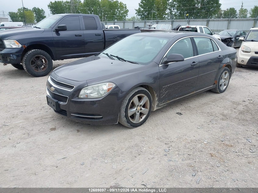 Vin: 1g1zd5eu4bf213949, lot: 3094636, chevrolet malibu lt platium edition 20112
