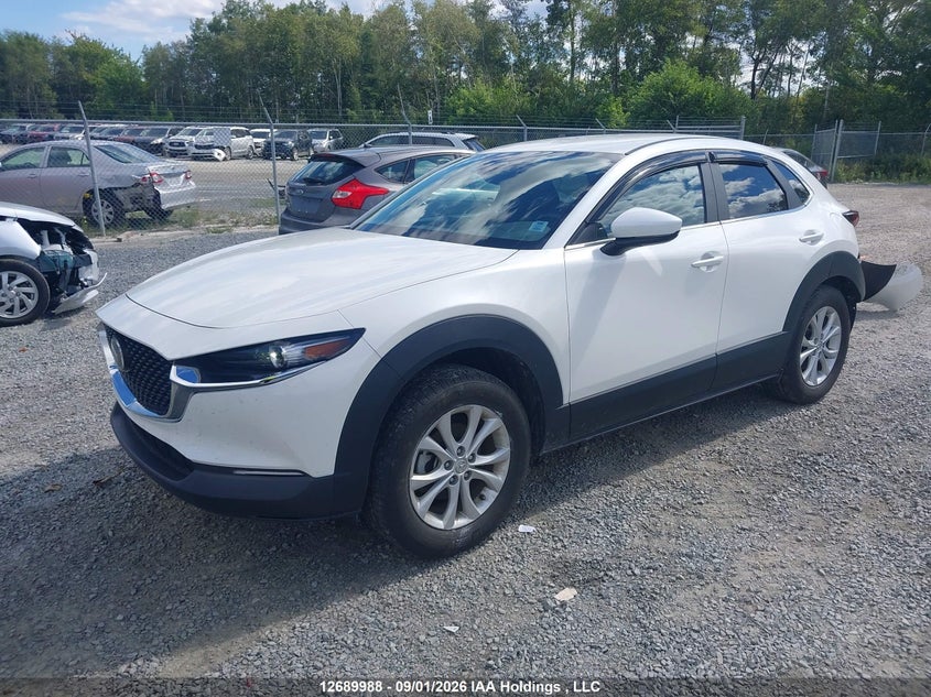 2024 Mazda CX-30, Rear, IAAI, VIN 3MVDMBCM1RM613043 — photo 2