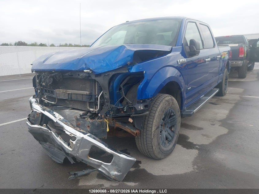 2017 Ford F-150, Удар спереди, IAAI, VIN 1FTFW1EGXHFB69942 — фото 2