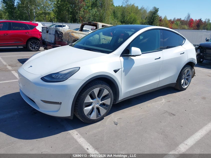 2021 Tesla Model Y, Удар сзади, IAAI, VIN 5YJYGDEE7MF175377 — фото 2