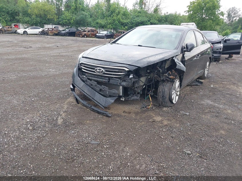 Vin: 5npe24af4gh270677, lot: 3094869, hyundai sonata gl 20162