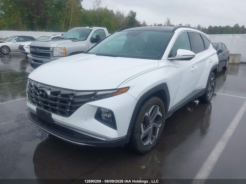 Vin: km8jcca11pu091251, lot: 3095072, hyundai tucson 20232