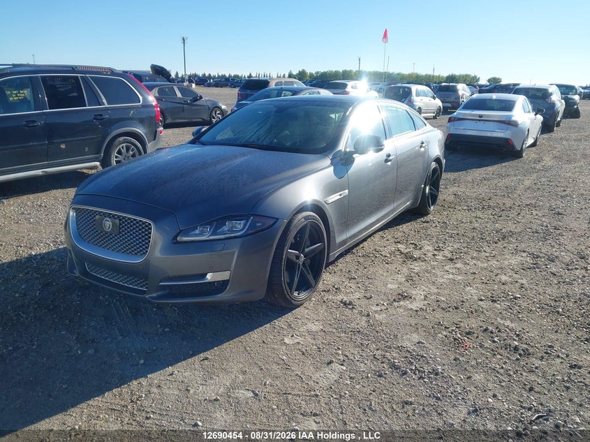 2016 Jaguar XJ, Удар спереду, IAAI, VIN SAJXJ2GD0G8V95929 — фото 2