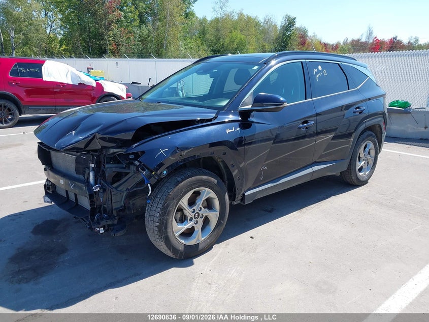 Vin: km8jccae8pu226471, lot: 3095669, hyundai tucson 20232