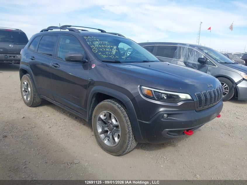 2019 Jeep Cherokee Trailhawk, Hail, IAAI, VIN 1C4PJMBN6KD474736