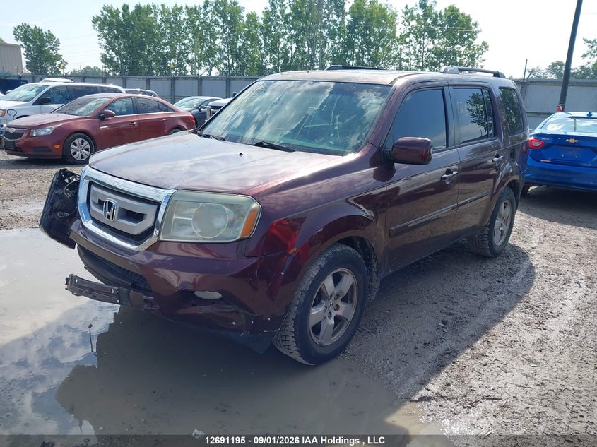 Vin: 5fnyf4h57bb042727, lot: 3096034, honda pilot exl 20112