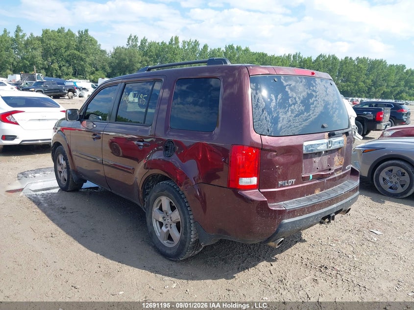 Vin: 5fnyf4h57bb042727, lot: 3096034, honda pilot exl 20113