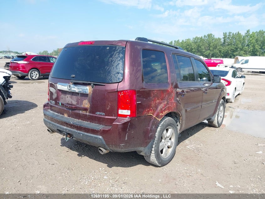 Vin: 5fnyf4h57bb042727, lot: 3096034, honda pilot exl 20114