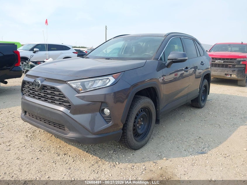 2019 Toyota RAV 4, Затоплення, IAAI, VIN 2T3R1RFV9KW018569 — фото 2
