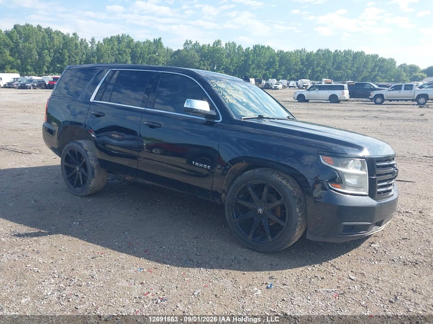 2019 Chevrolet Tahoe Commercial Fleet, Front, IAAI, VIN 1GNSKDEC0KR398295