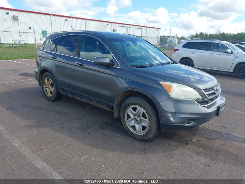 Vin: 5j6re4h78bl818556, lot: 3097293, honda cr-v exl 2011 img_1