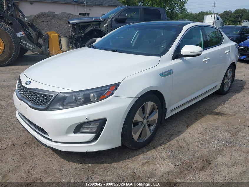 2016 Kia Optima, Благотворительность, IAAI, VIN KNAGN4AD1G5099382 — фото 2
