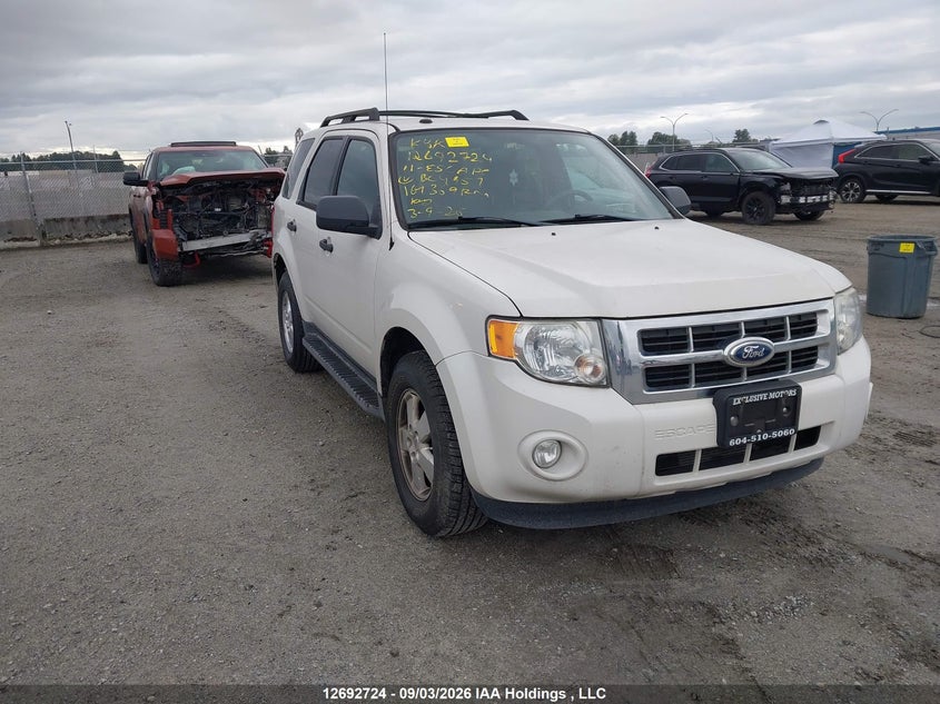 Vin: 1fmcu0dg8bkb04957, lot: 3097633, ford escape xlt 2011 img_1