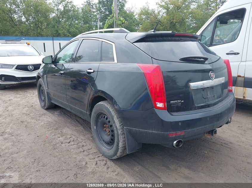 Vin: 3gyfnge37ds556564, lot: 3097803, cadillac srx luxury collection 20133