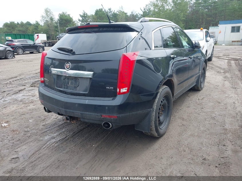 Vin: 3gyfnge37ds556564, lot: 3097803, cadillac srx luxury collection 20134