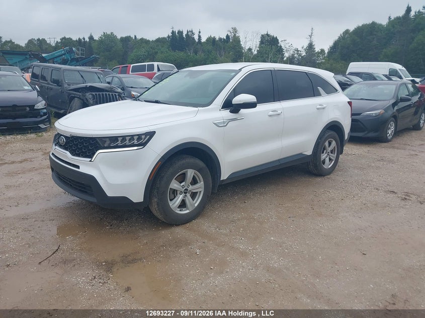 Vin: 5xyrgdlc2mg014868, lot: 3098164, kia sorento lx 20212