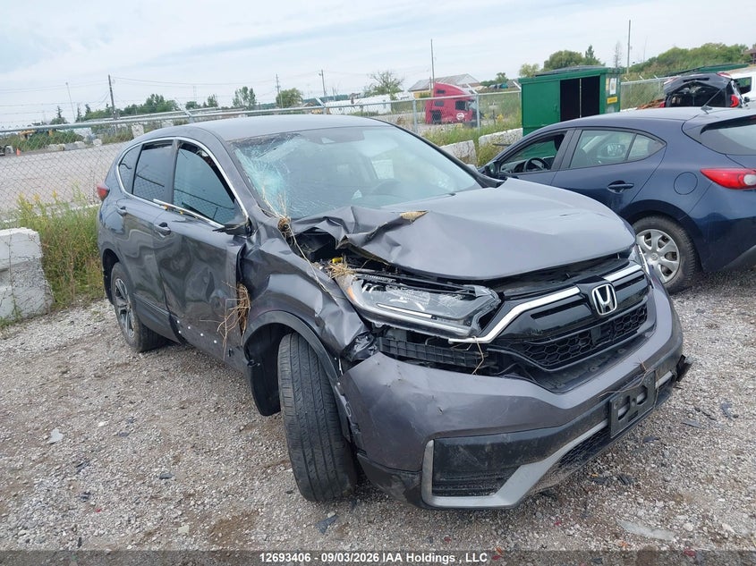 Vin: 2hkrw2h29lh225855, lot: 3098344, honda cr-v lx 2020 img_1