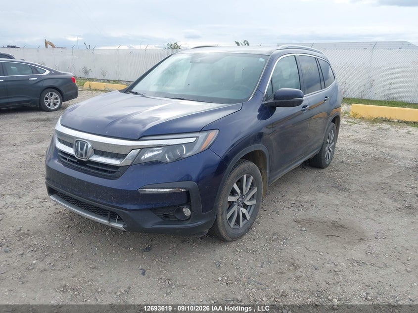 Vin: 5fnyf6h30mb505174, lot: 3098558, honda pilot ex 20212